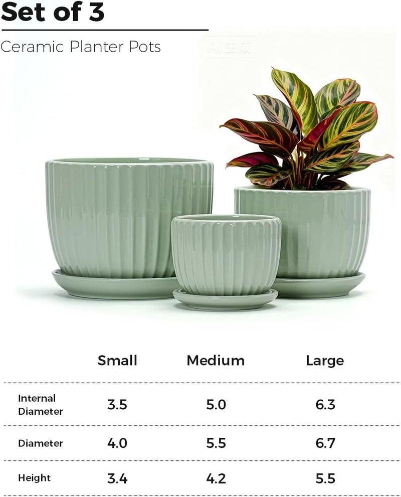 Ton Sin Flower Pots, Light Green Ceramic Plant Pots Set of 3,Small Glazed Succulent Pots with Drainage Hole,Cactus Planter with Saucer,Outdoor Garden Pots (Green) - Image 3